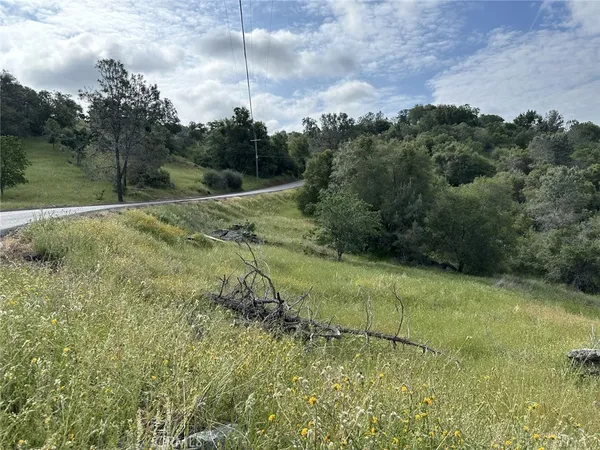 a view of a lush green space