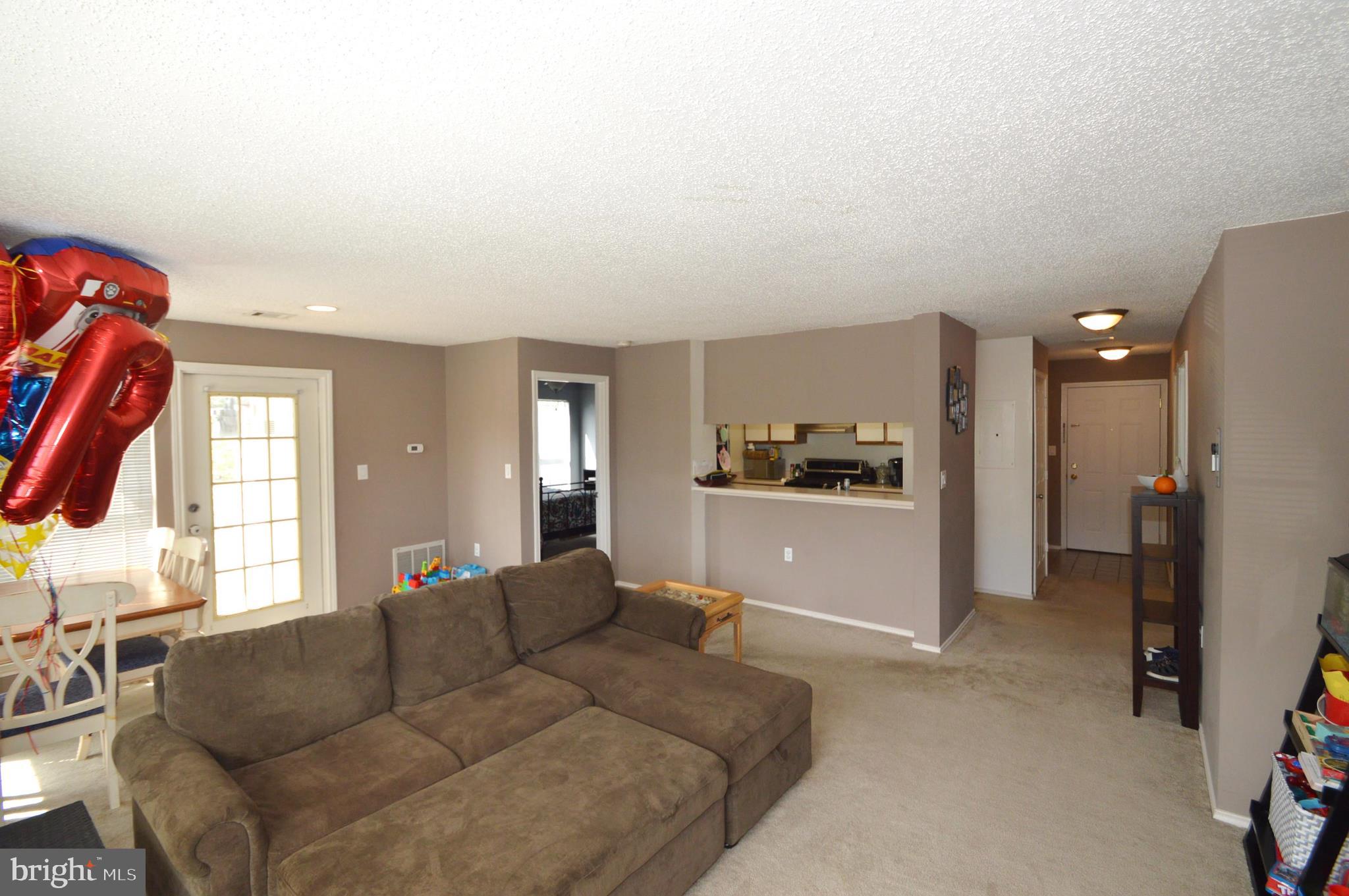 20991 Timber Ridge Terrace, Unit 202 Ashburn, VA 20147 - Photo 10 of 20 Living Room