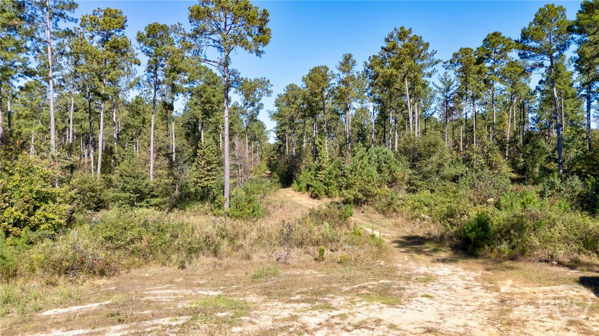1 Bridges Road Carlton, GA 30627 - Photo 7 of 33