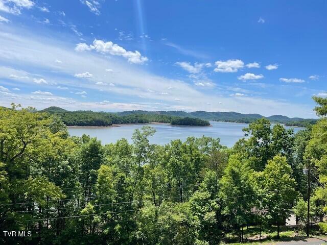 1540 Rugged Range Road Bean Station, TN 37708 - Photo 2 of 12 Picture 1