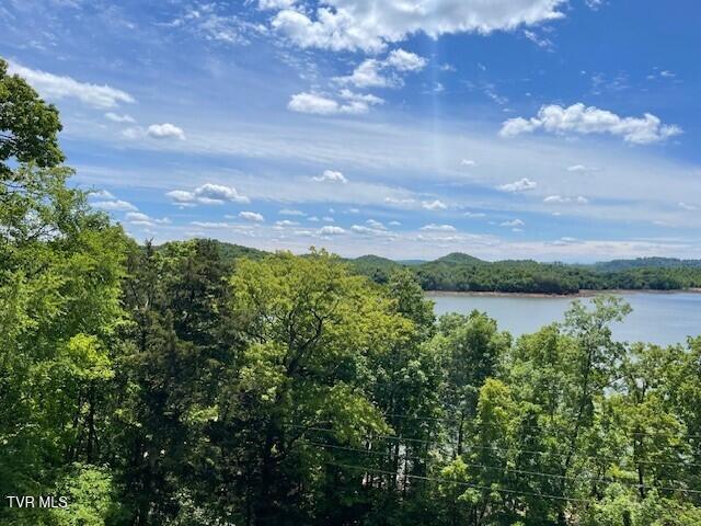 1540 Rugged Range Road Bean Station, TN 37708 - Photo 9 of 12 Picture 9