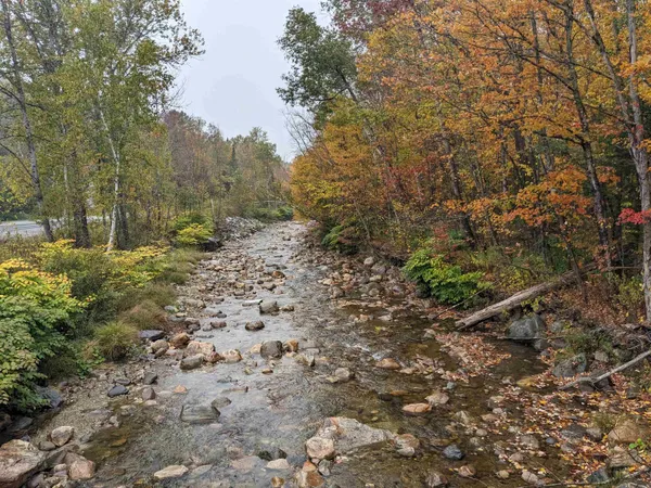 $429,000 | 461 Wilmouth Hill Road, Shrewsbury, VT 05738