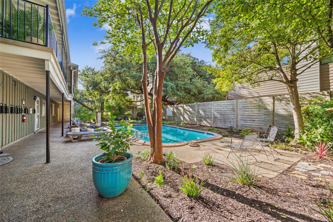 a view of a backyard with potted plants and large trees