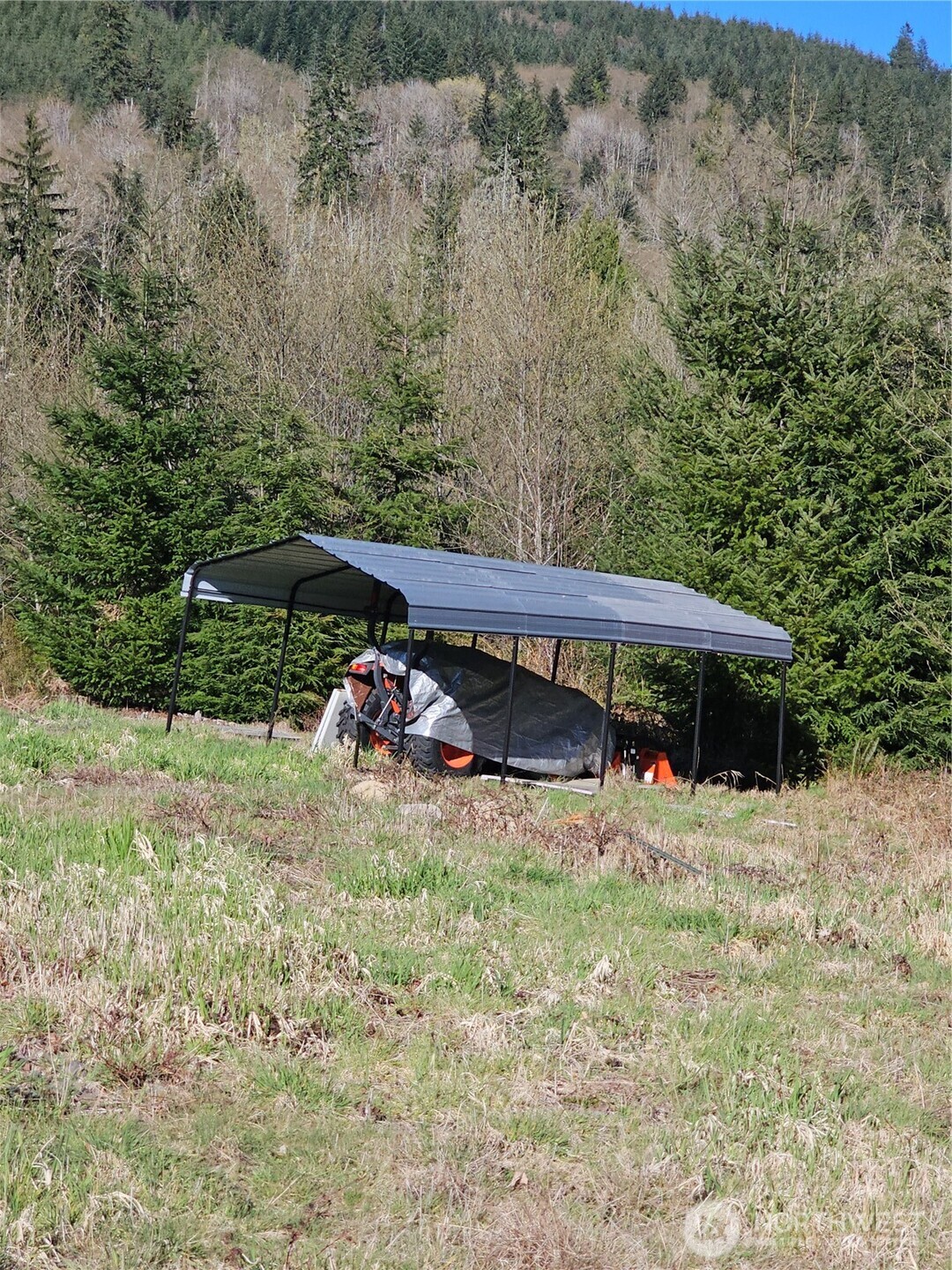 210 Bellicum Road Morton, WA 98356 - Photo 2 of 35 Gallery Image 2