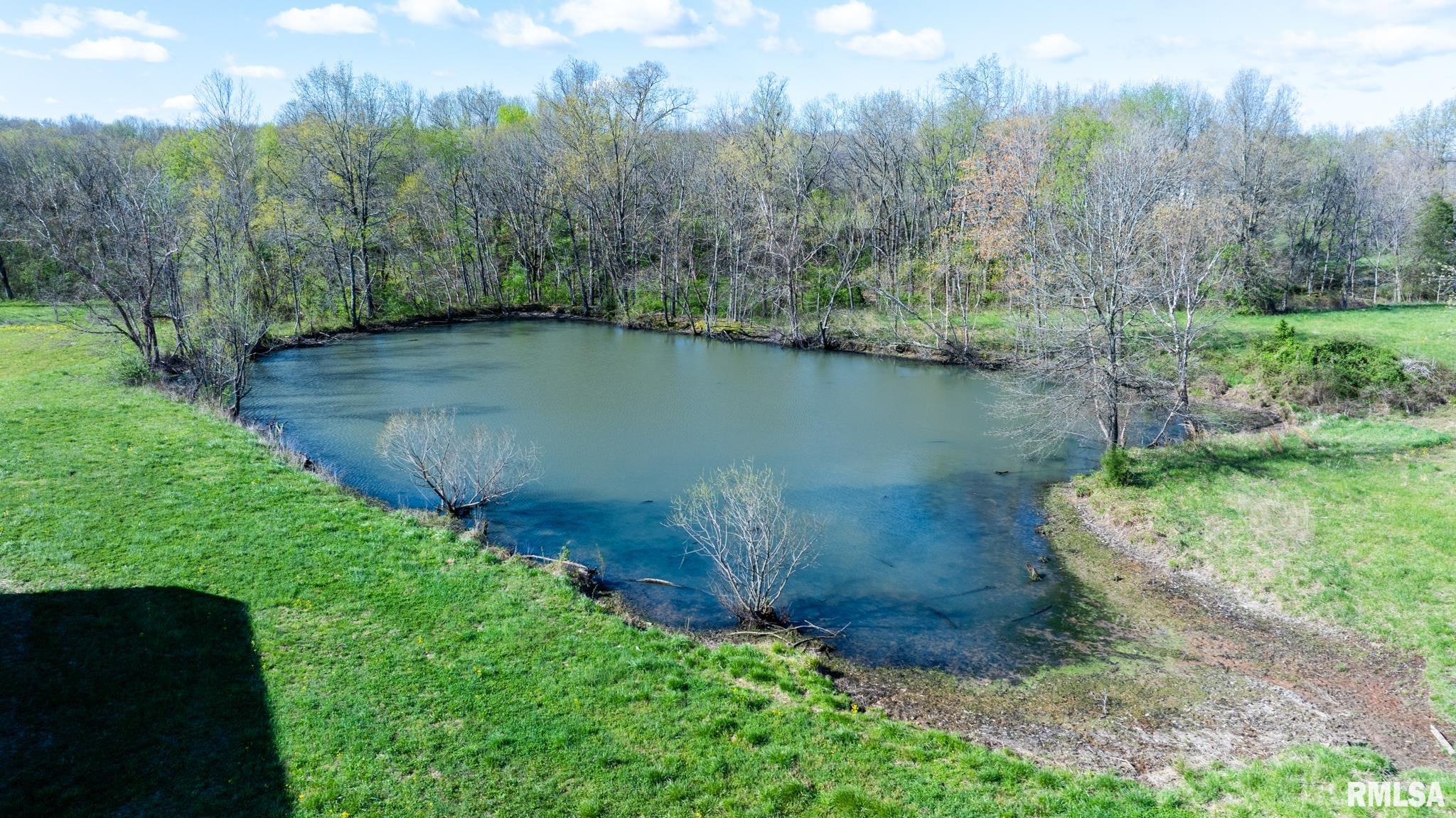 2114 Iuka Road Iuka, IL 62849 - Photo 18 of 43