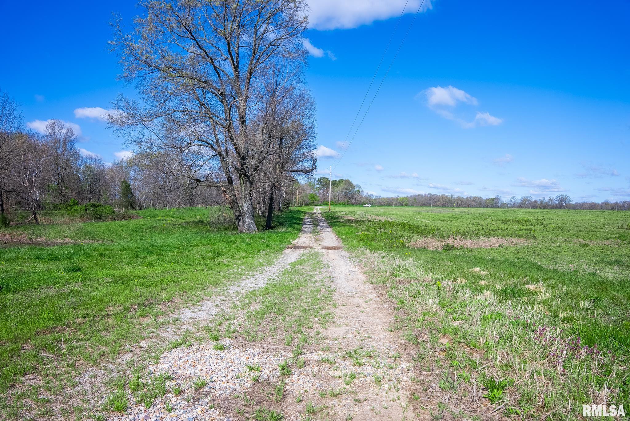 2114 Iuka Road Iuka, IL 62849 - Photo 20 of 43