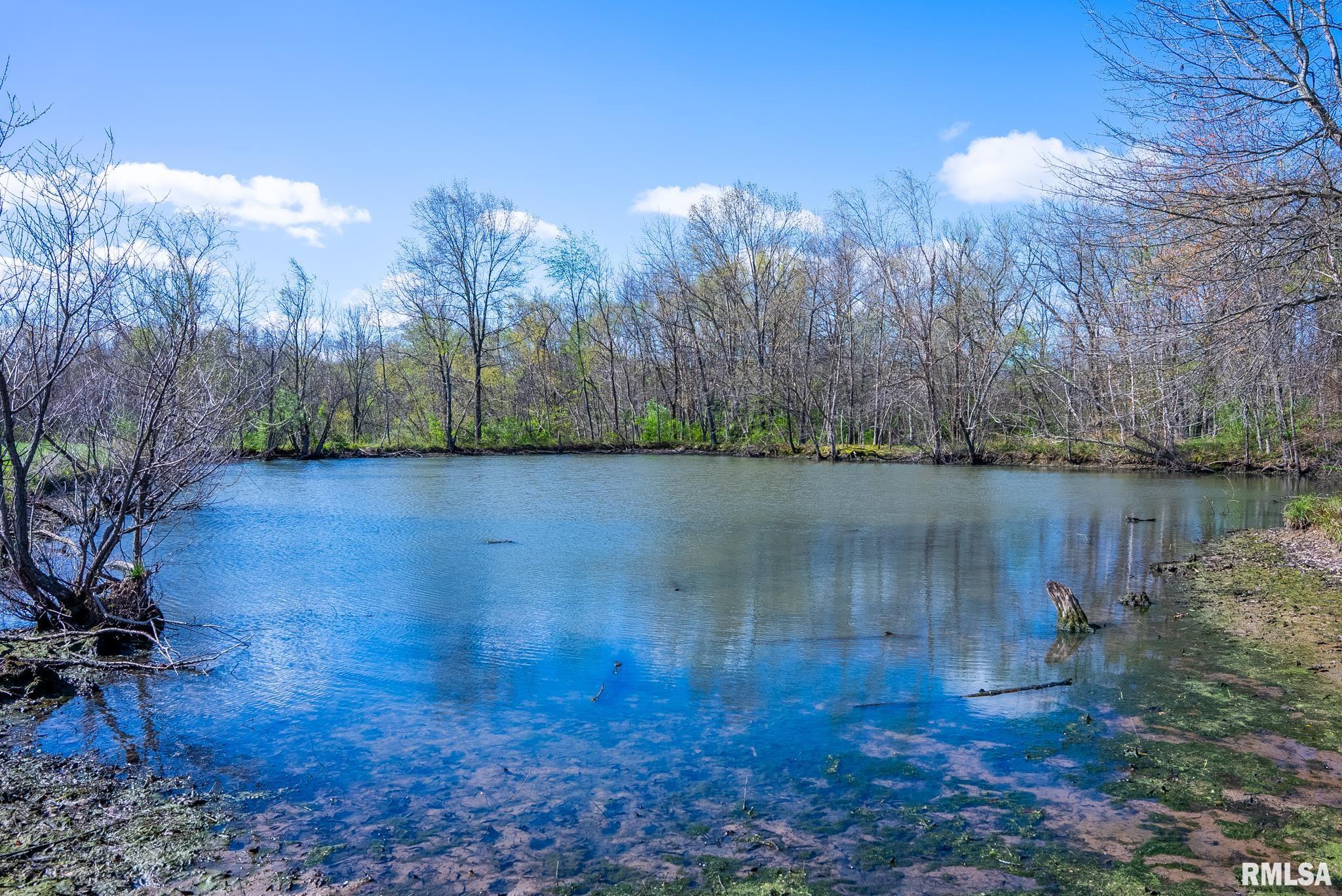 2114 Iuka Road Iuka, IL 62849 - Photo 22 of 43