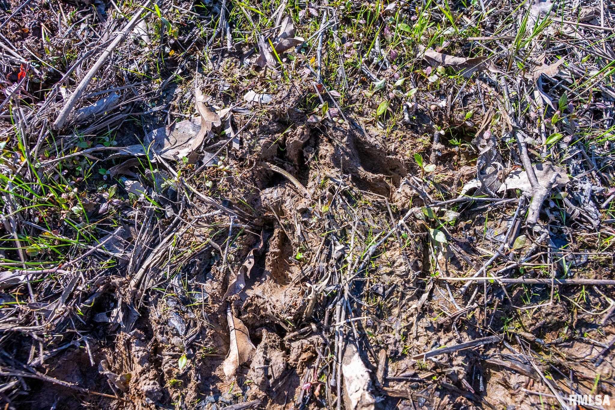 2114 Iuka Road Iuka, IL 62849 - Photo 23 of 43