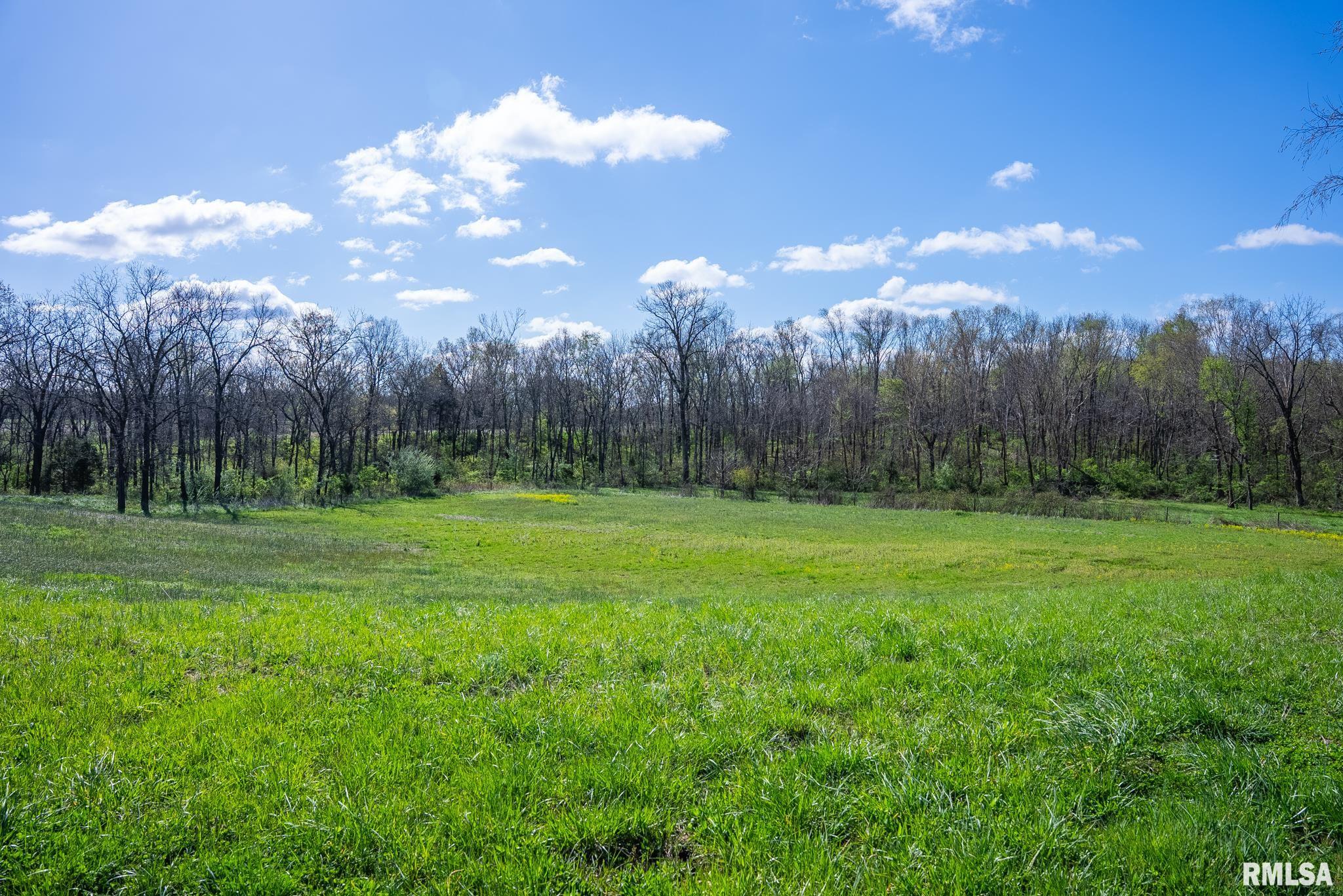 2114 Iuka Road Iuka, IL 62849 - Photo 25 of 43