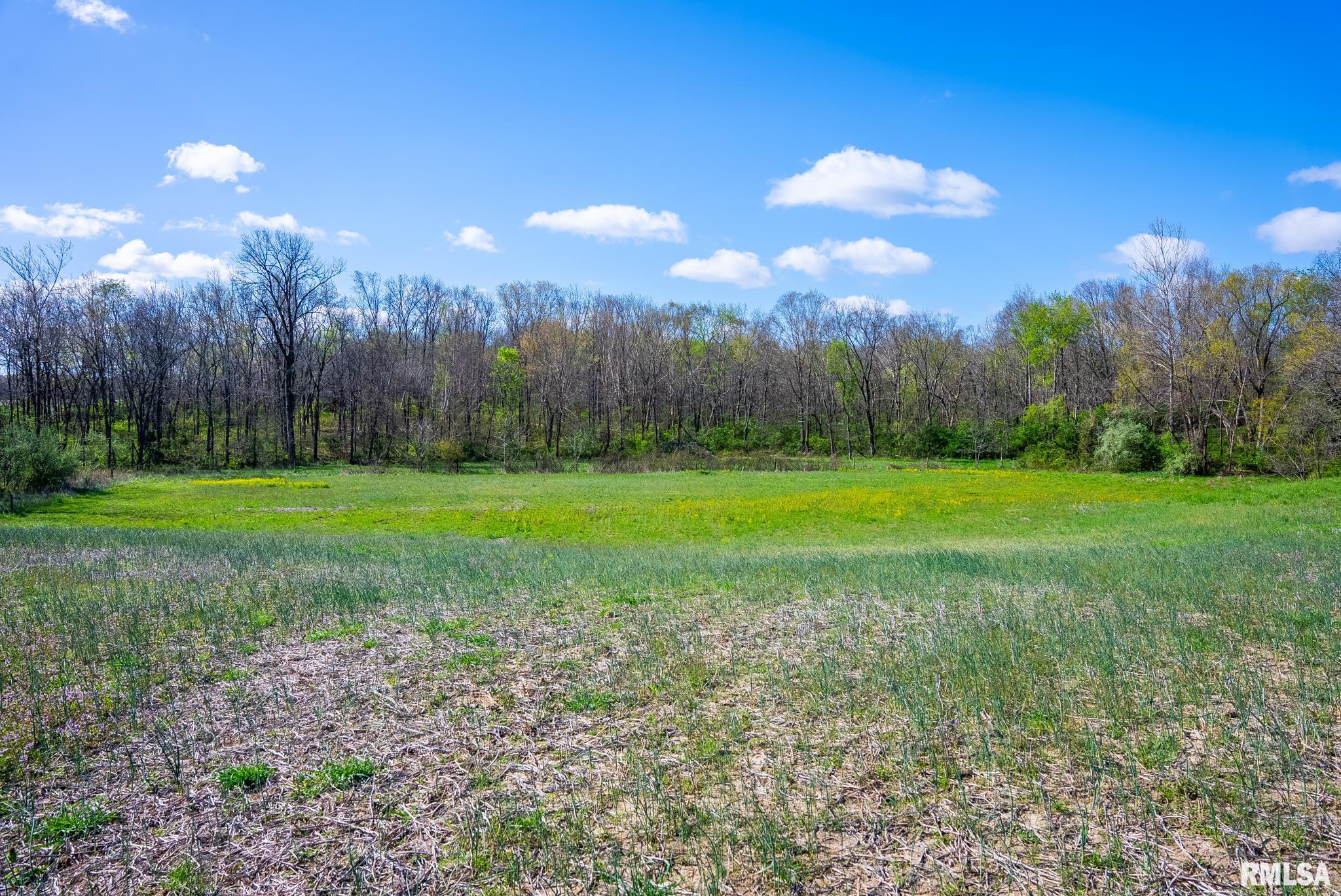 2114 Iuka Road Iuka, IL 62849 - Photo 26 of 43