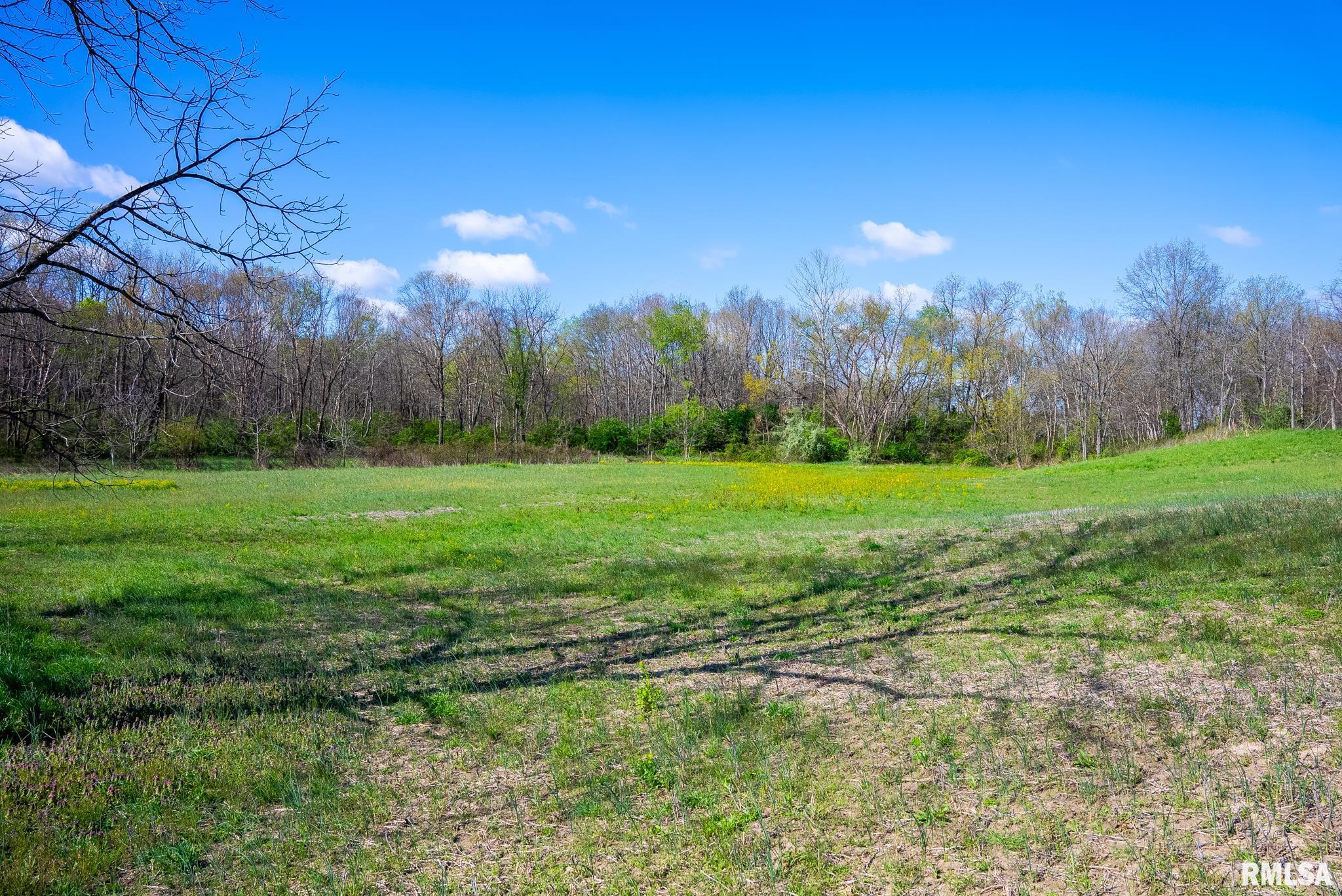 2114 Iuka Road Iuka, IL 62849 - Photo 27 of 43