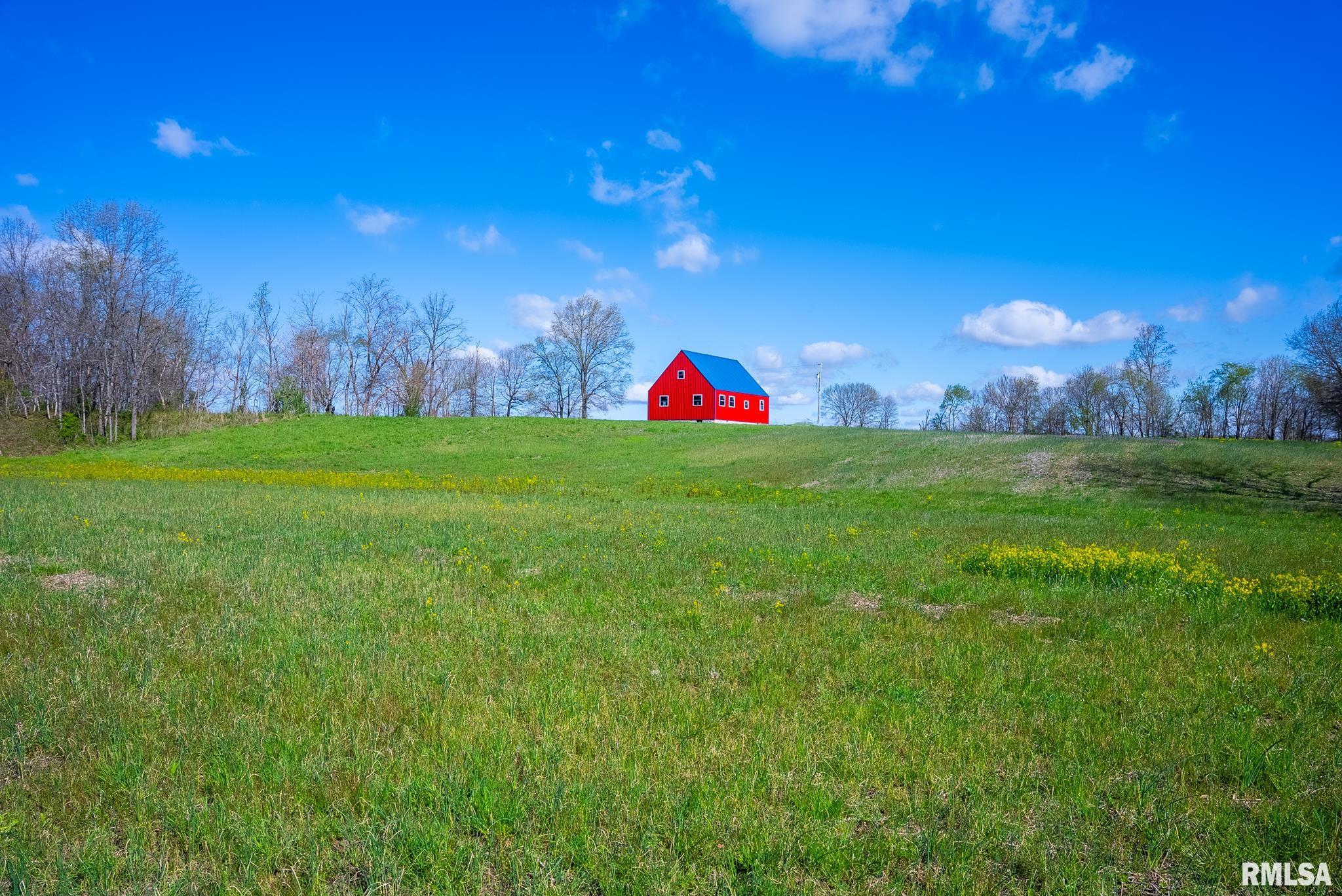 2114 Iuka Road Iuka, IL 62849 - Photo 29 of 43