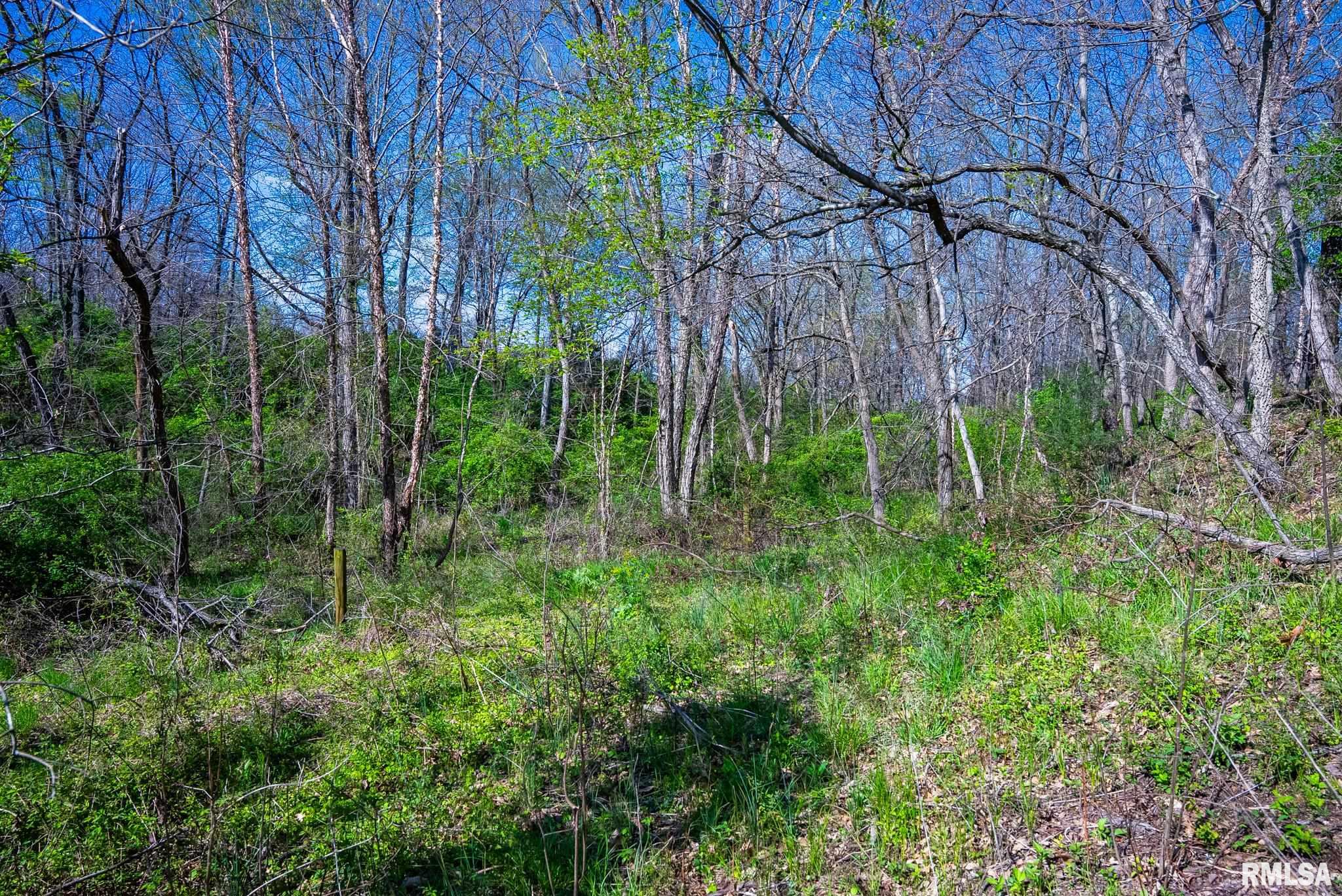 2114 Iuka Road Iuka, IL 62849 - Photo 30 of 43