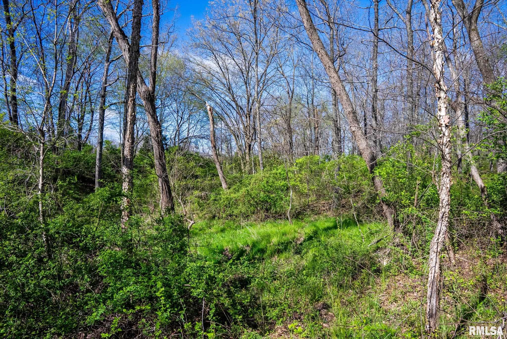 2114 Iuka Road Iuka, IL 62849 - Photo 32 of 43