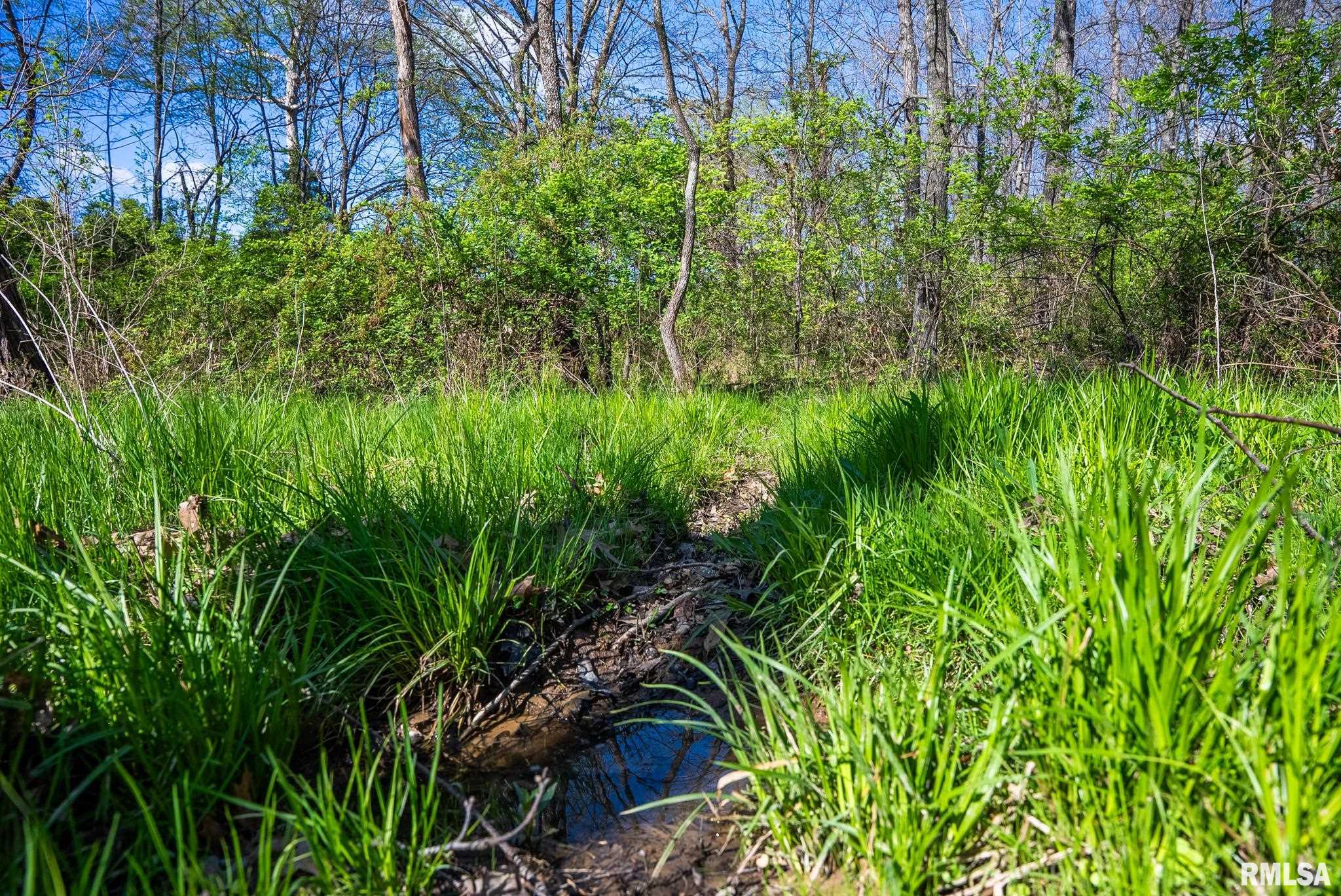 2114 Iuka Road Iuka, IL 62849 - Photo 33 of 43