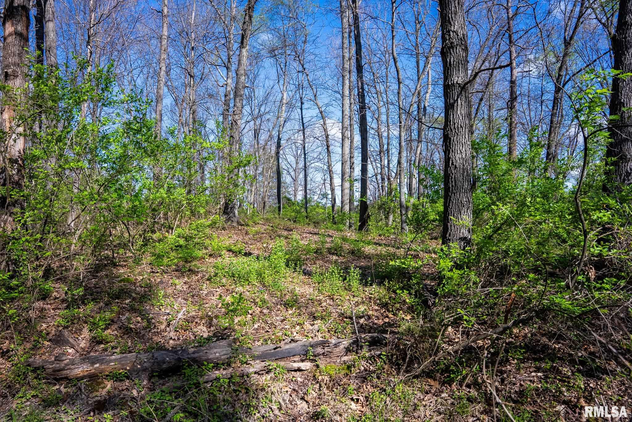 2114 Iuka Road Iuka, IL 62849 - Photo 34 of 43