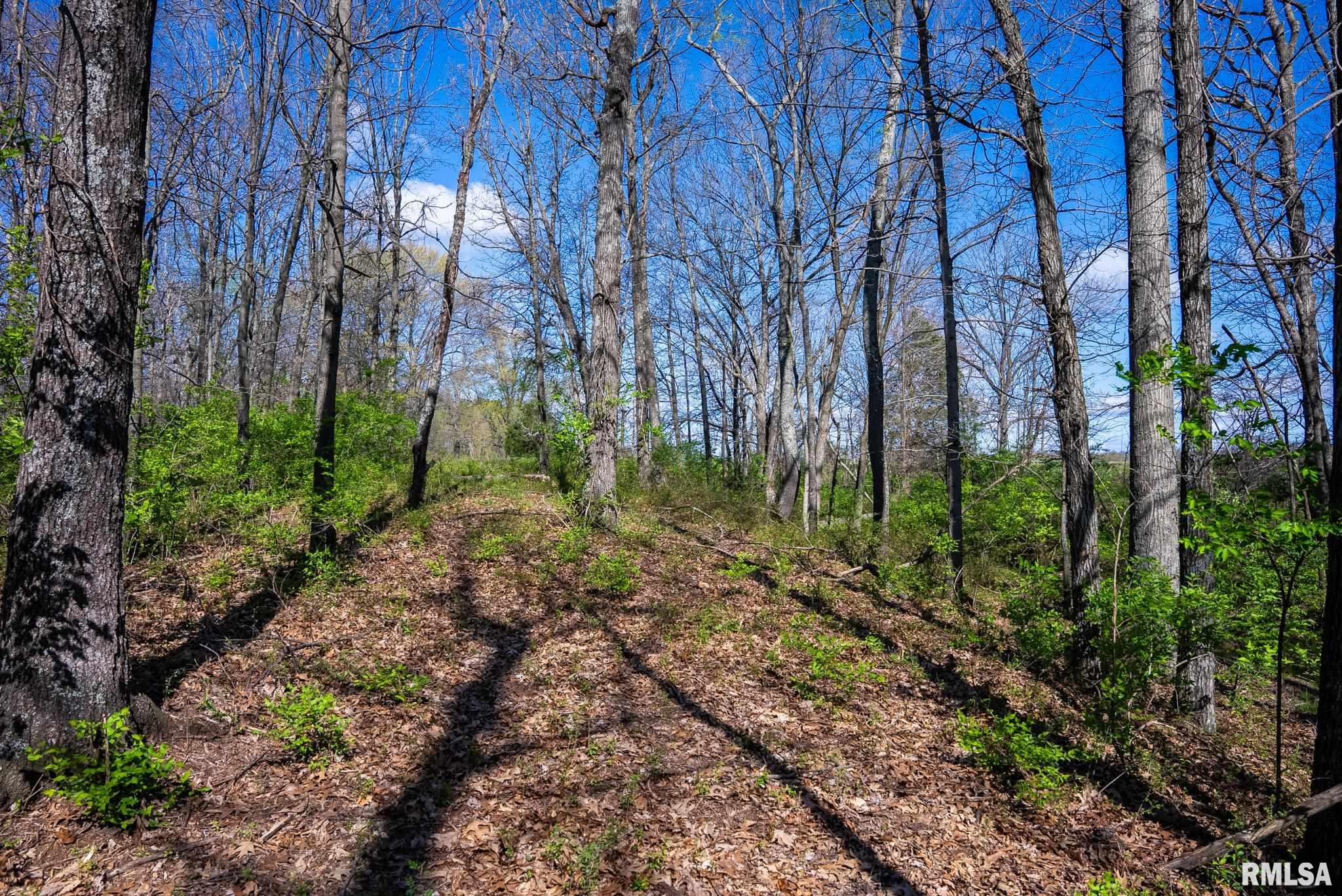 2114 Iuka Road Iuka, IL 62849 - Photo 35 of 43