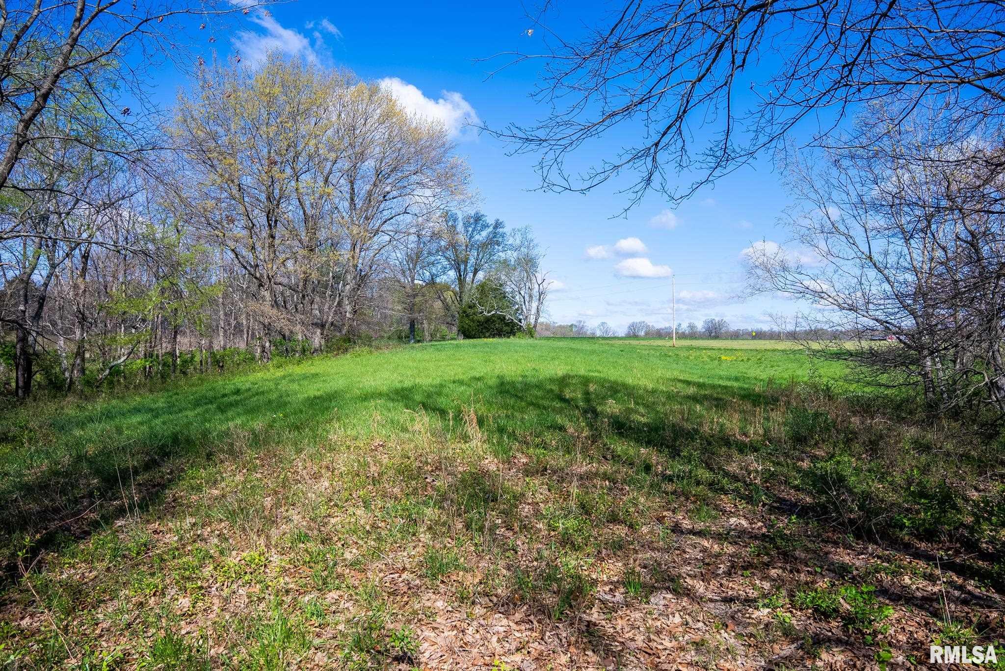 2114 Iuka Road Iuka, IL 62849 - Photo 36 of 43