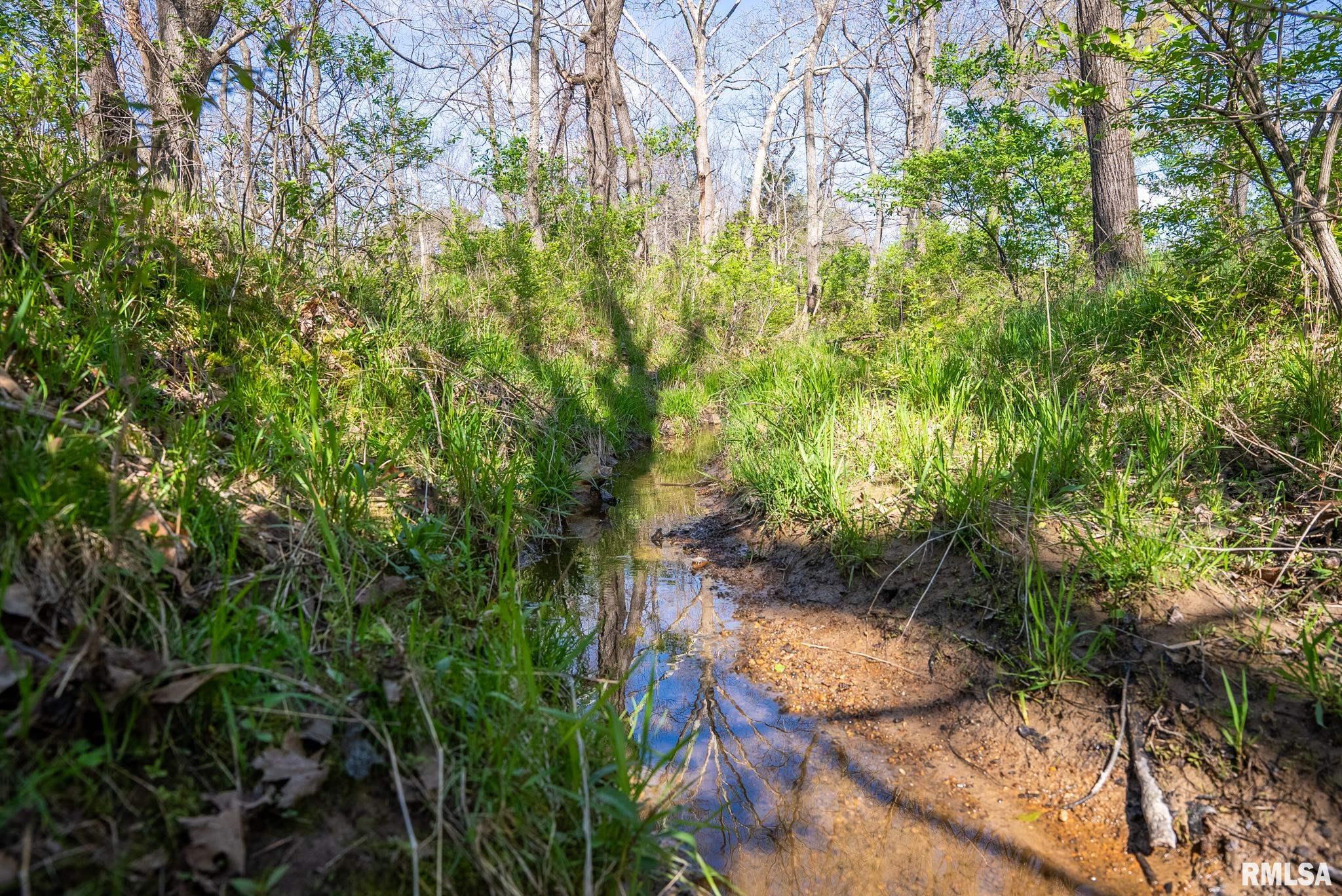 2114 Iuka Road Iuka, IL 62849 - Photo 38 of 43