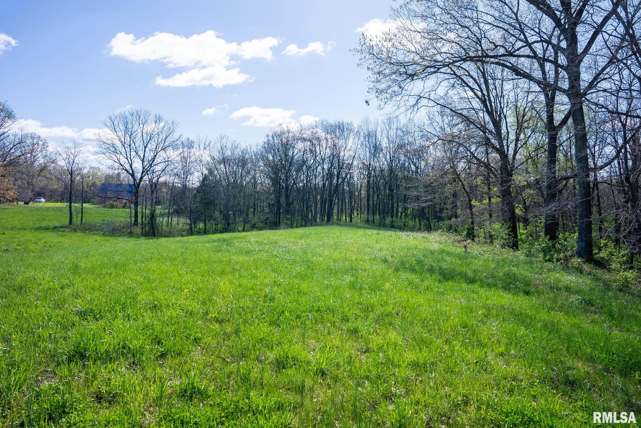 2114 Iuka Road Iuka, IL 62849 - Photo 39 of 43