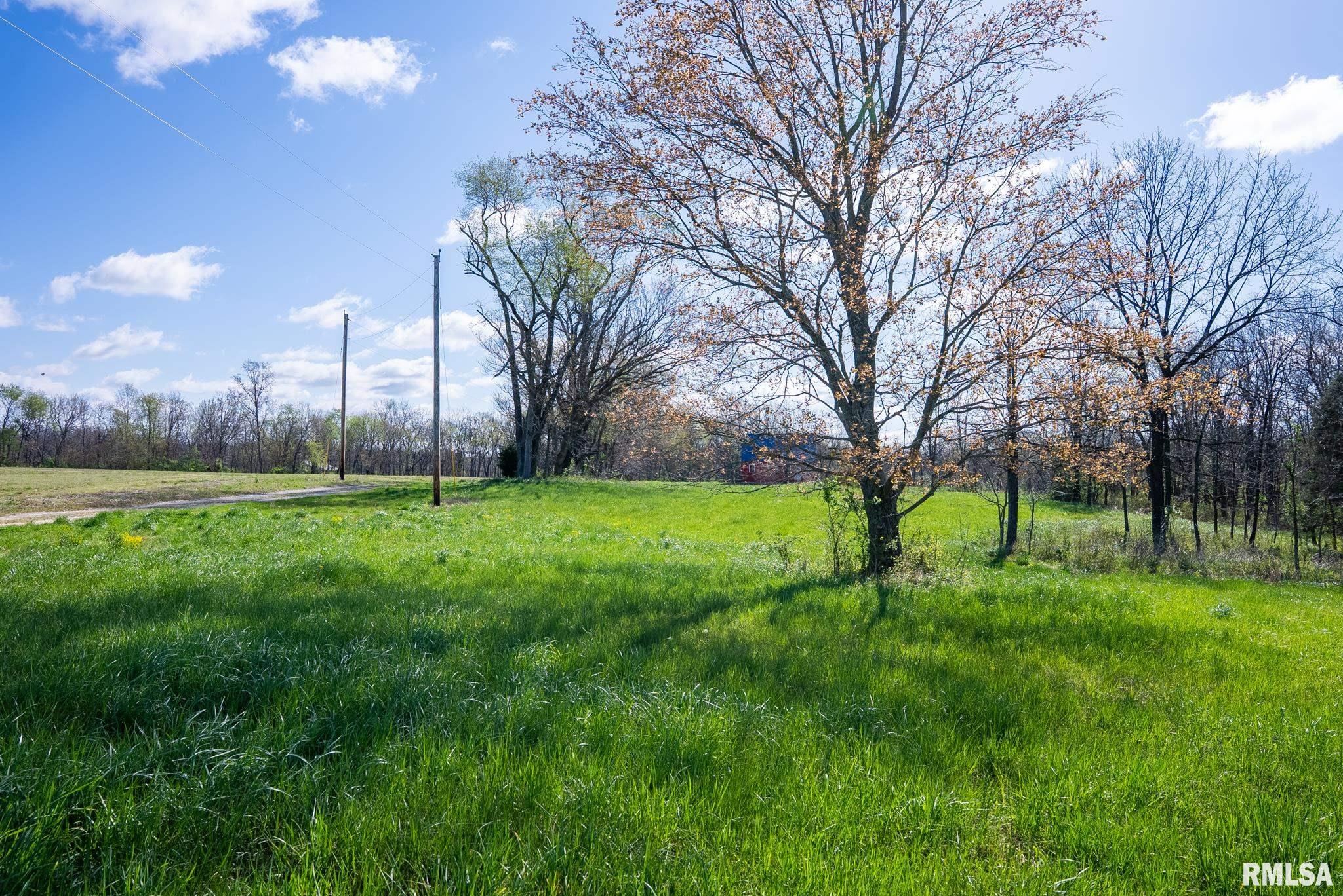 2114 Iuka Road Iuka, IL 62849 - Photo 40 of 43