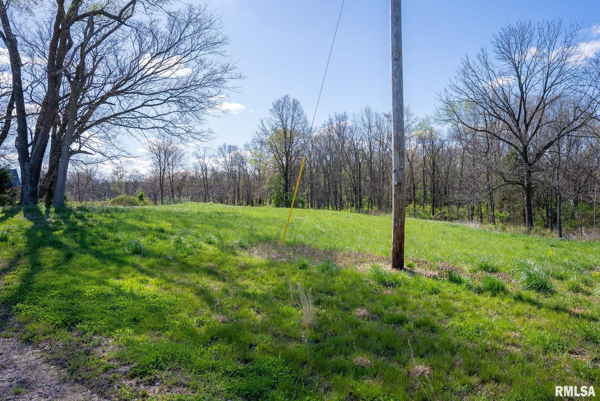 2114 Iuka Road Iuka, IL 62849 - Photo 41 of 43