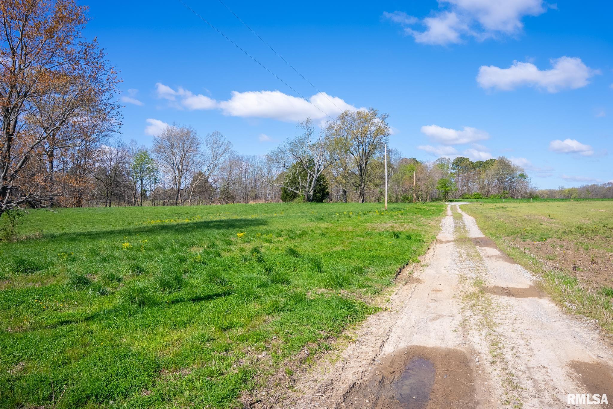 2114 Iuka Road Iuka, IL 62849 - Photo 42 of 43