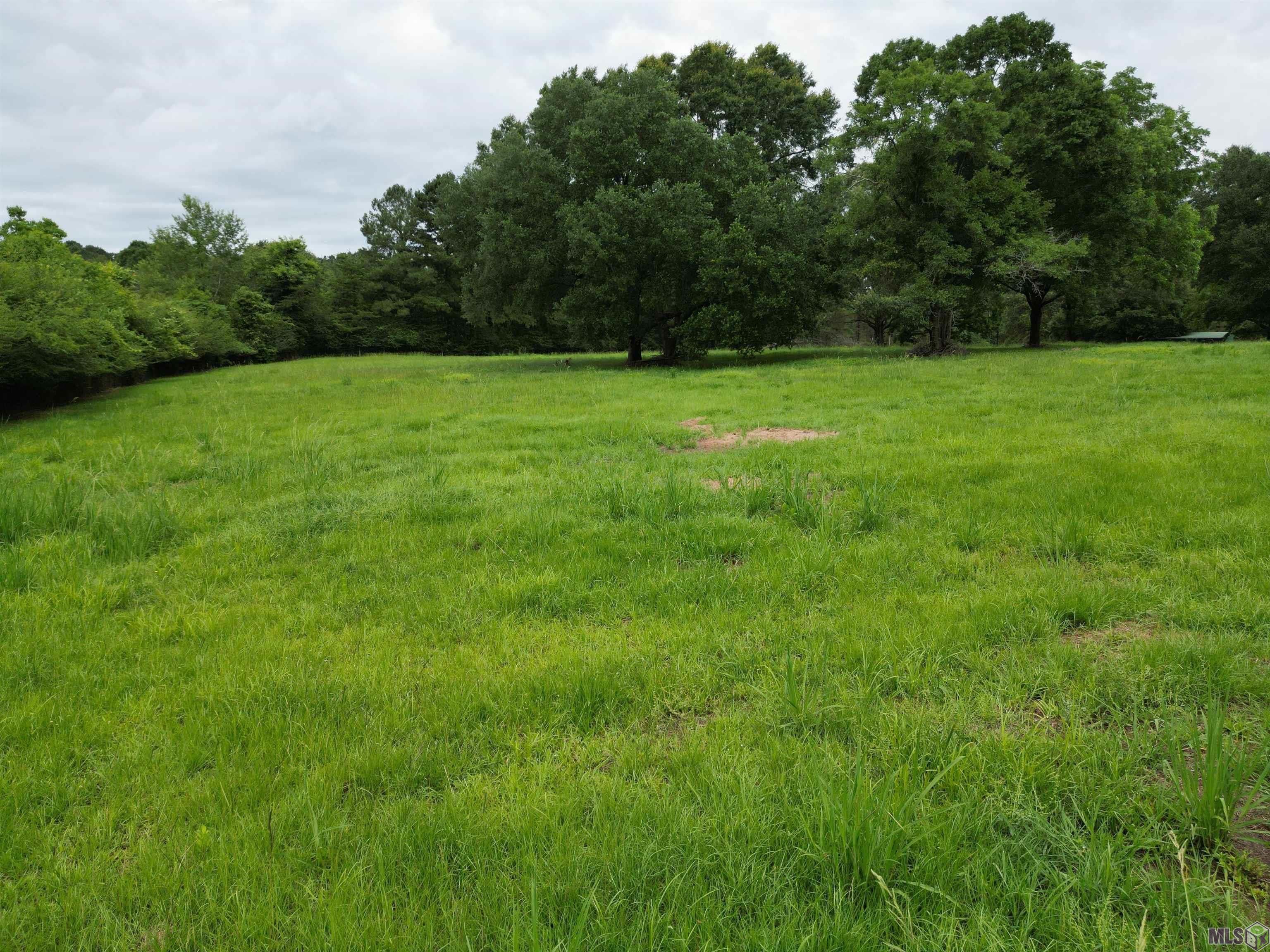Tbd Megan Road Jackson, LA 70748 - Photo 11 of 17