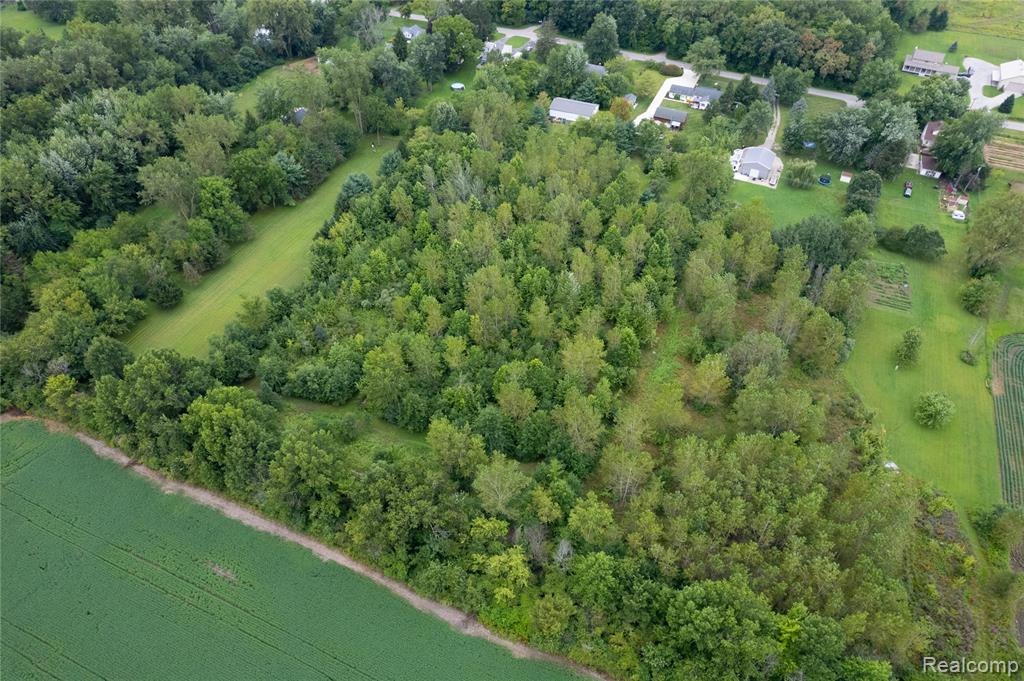 10784 Exeter Road Carleton, MI 48117 - Photo 52 of 64