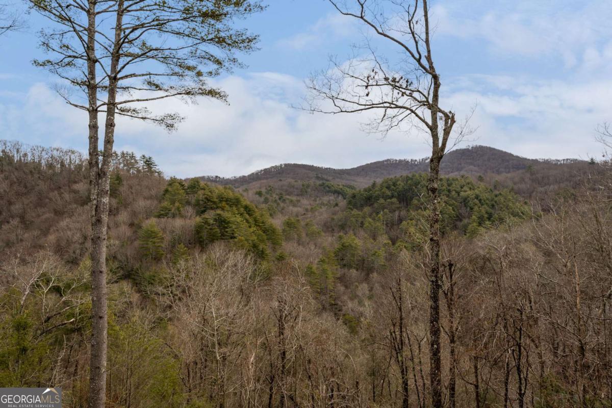 197 Cashes Valley Cherry Log, GA 30522 - Photo 2 of 67