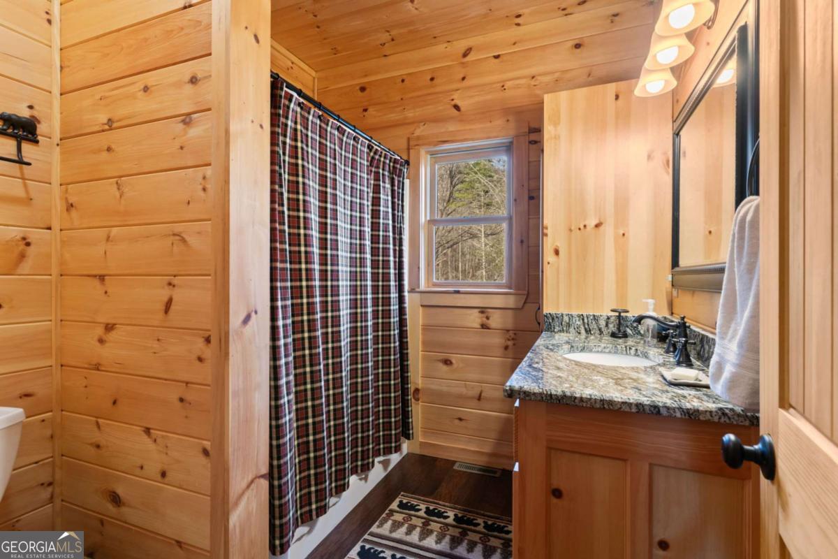 197 Cashes Valley Cherry Log, GA 30522 - Photo 45 of 67