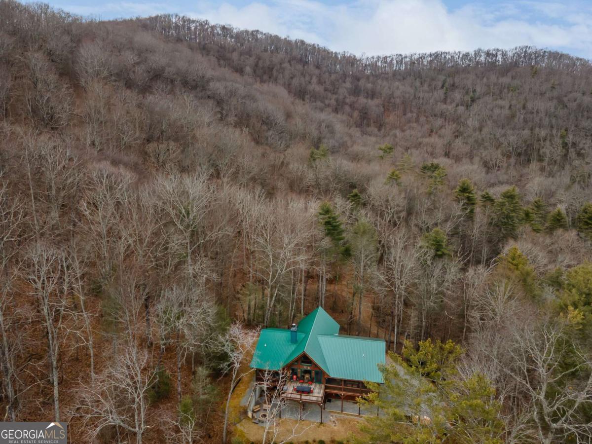 197 Cashes Valley Cherry Log, GA 30522 - Photo 56 of 67