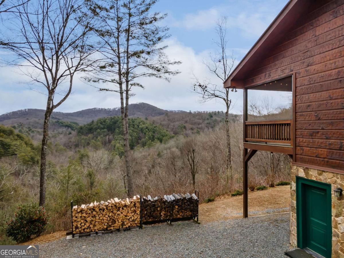 197 Cashes Valley Cherry Log, GA 30522 - Photo 58 of 67