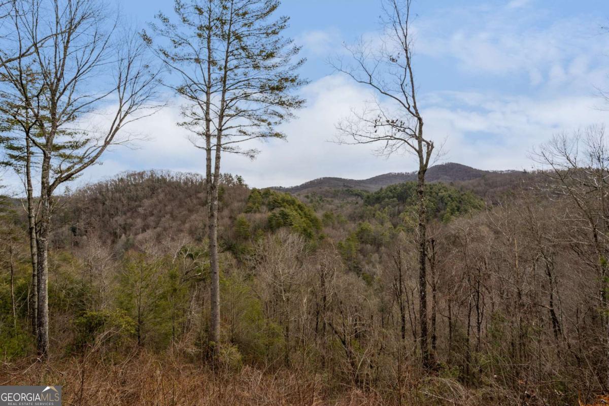 197 Cashes Valley Cherry Log, GA 30522 - Photo 61 of 67