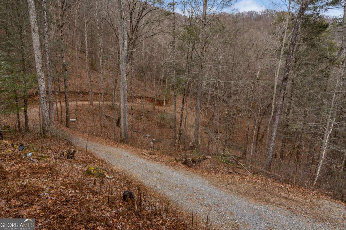 197 Cashes Valley Cherry Log, GA 30522 - Photo 67 of 67