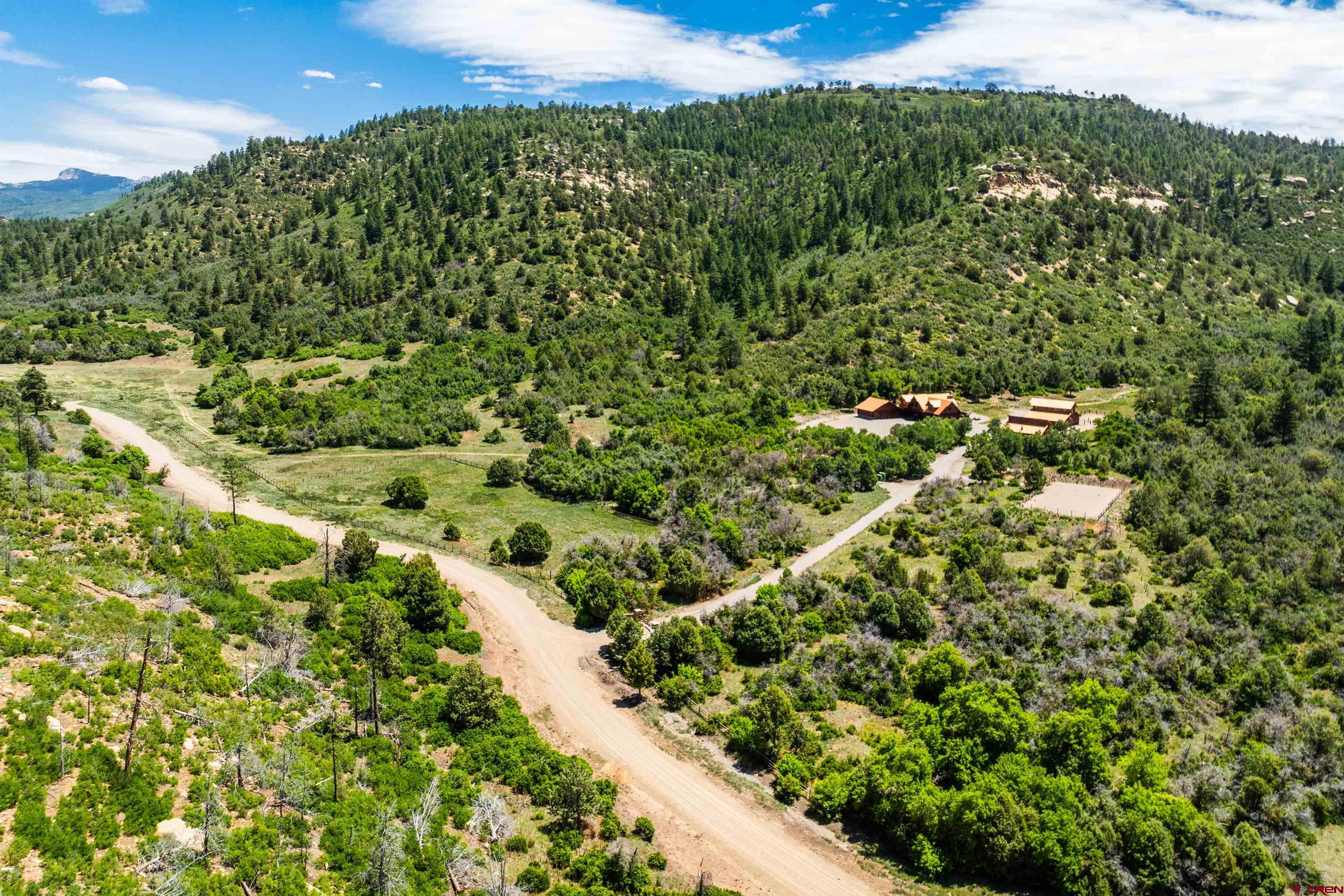 6590 Road 46 Mancos, CO 81328 - Photo 35 of 35 a view of a garden with a plant
