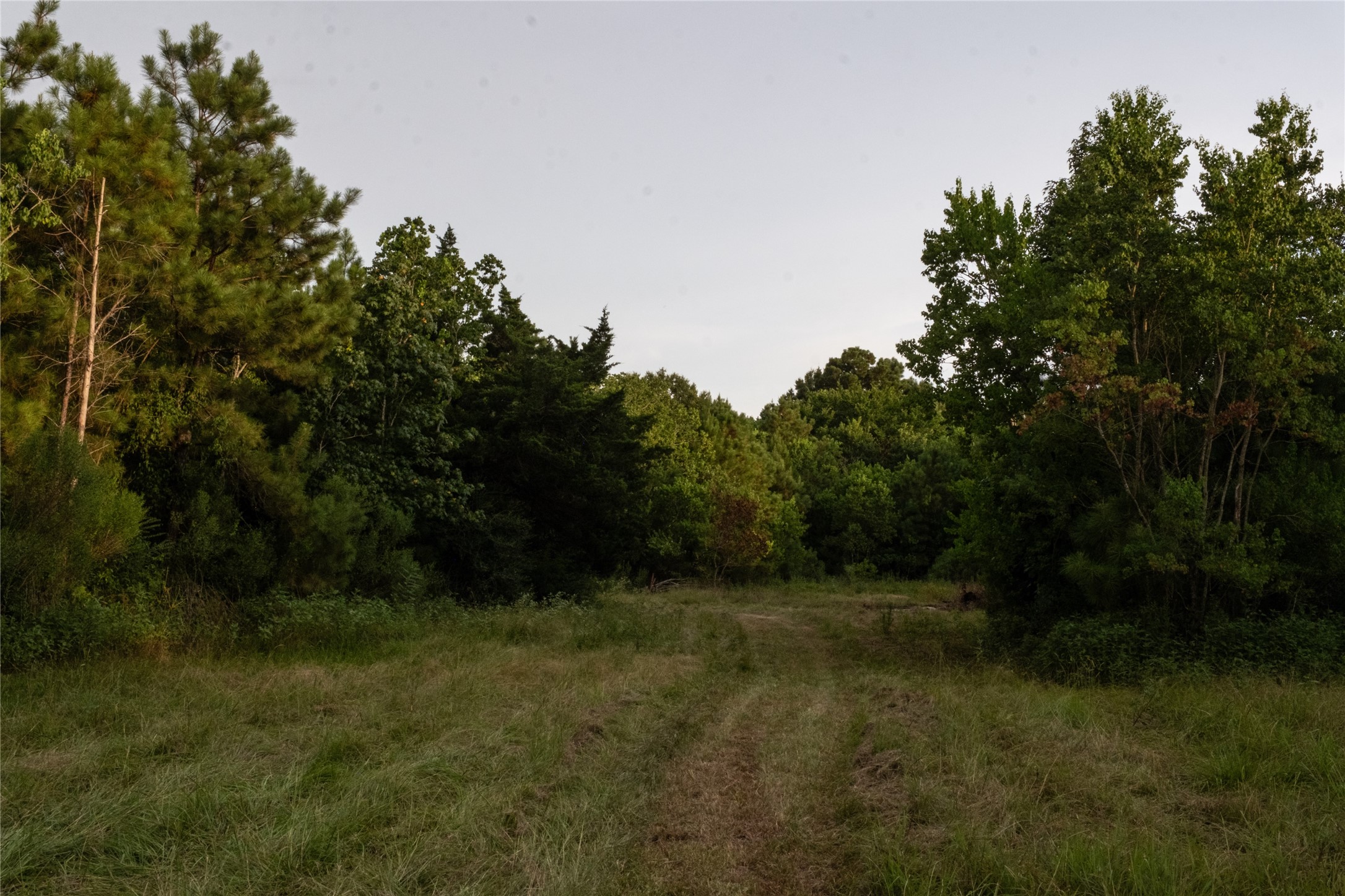 Tbd Barrow-White Road Anahuac, TX 77514 - Photo 21 of 22 a view of outdoor space and yard