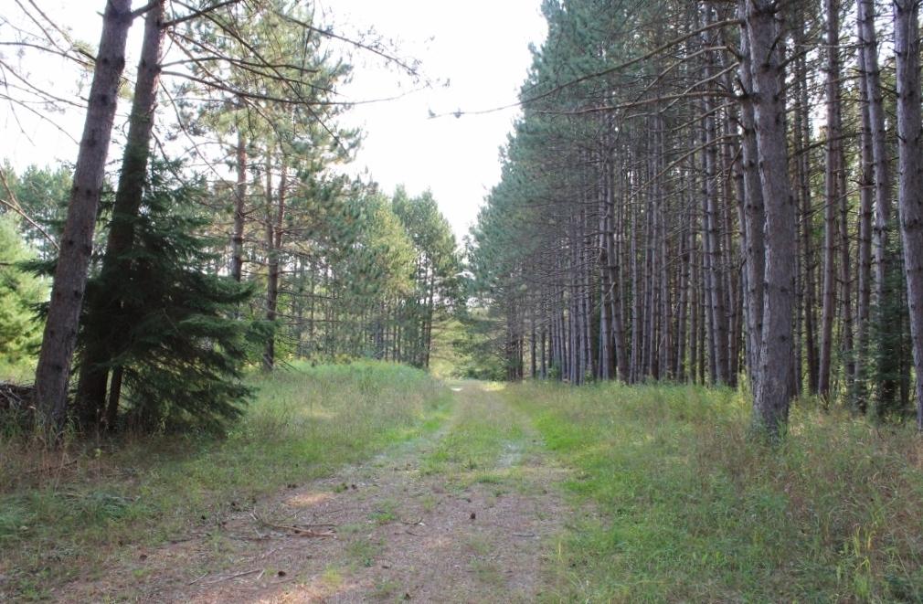 7705 Peshtigo River Road Argonne, WI 54511 - Photo 38 of 59 Gallery Image 38