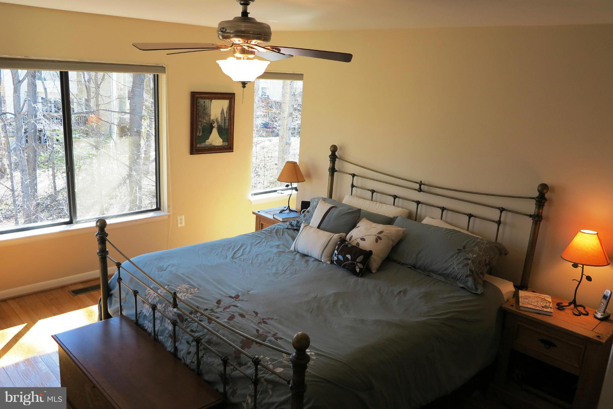 2041 Swans Neck Way Reston, VA 20191 - Photo 16 of 30 Master Bedroom
