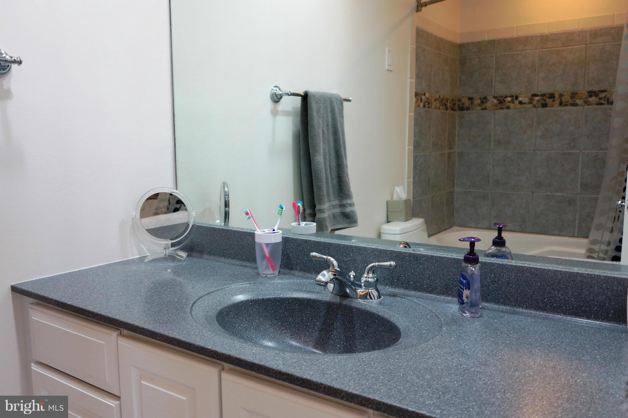2041 Swans Neck Way Reston, VA 20191 - Photo 19 of 30 Master Bath with Jetted Tub