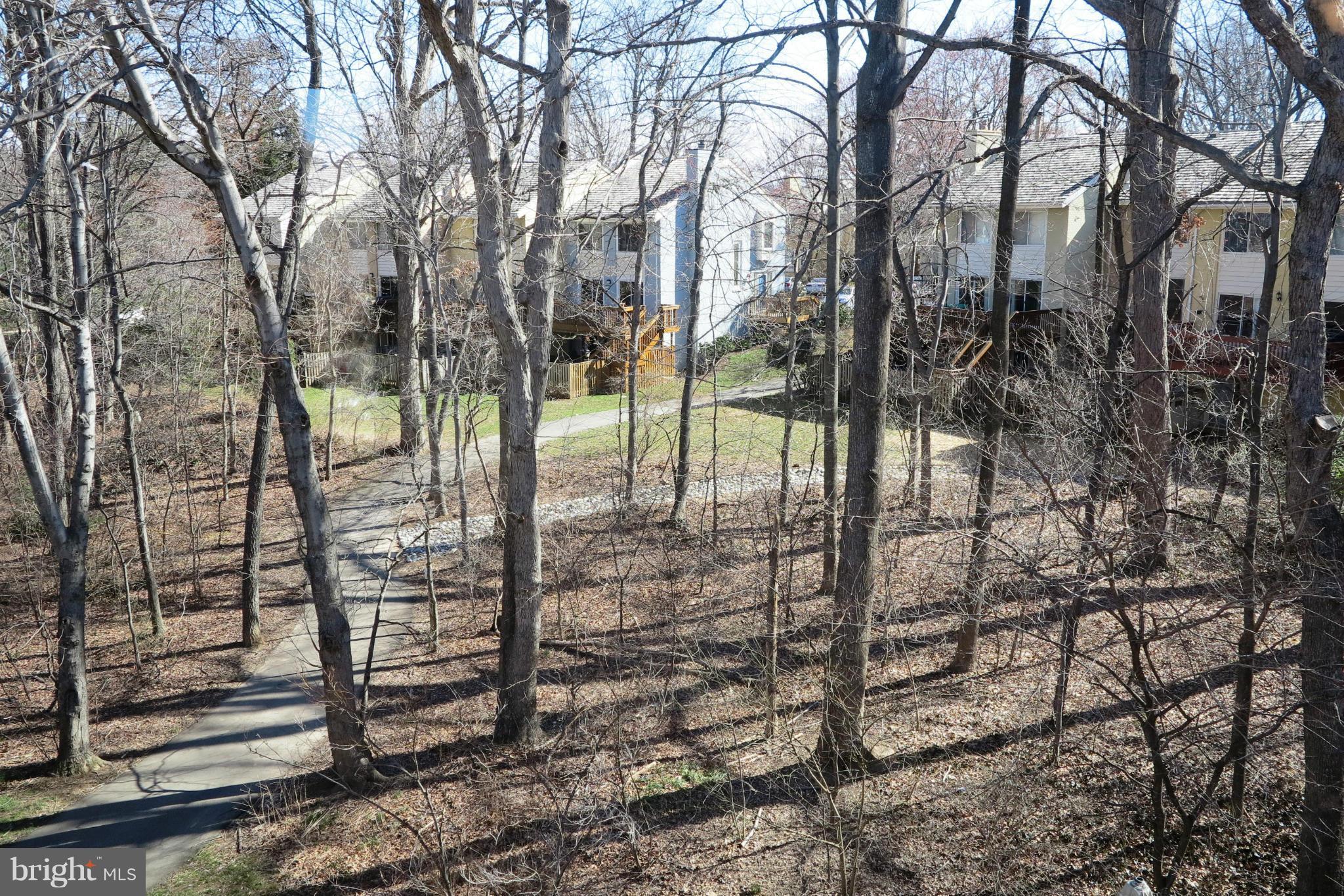 2041 Swans Neck Way Reston, VA 20191 - Photo 20 of 30 View From Master Bedroom