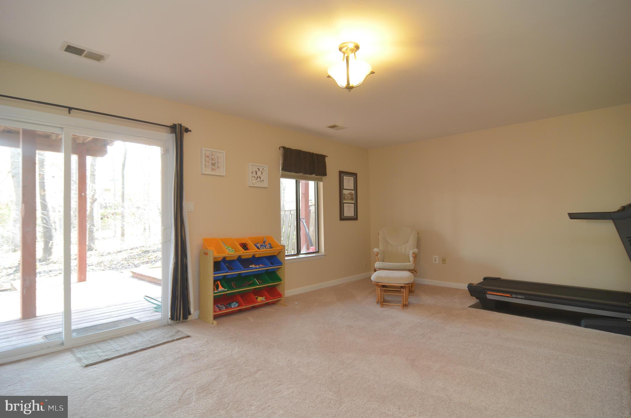 2041 Swans Neck Way Reston, VA 20191 - Photo 26 of 30 Basement - Walk Out with Lots of Natural Light!