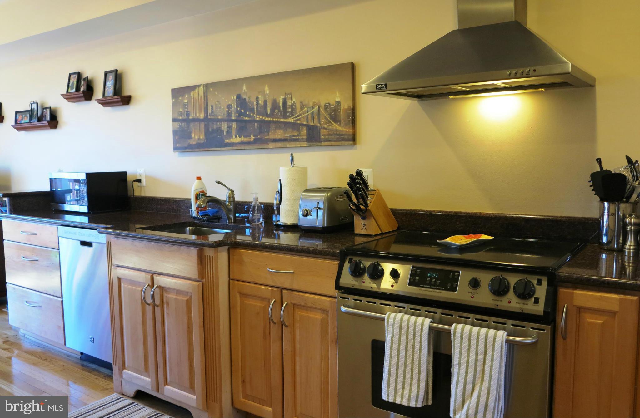 2041 Swans Neck Way Reston, VA 20191 - Photo 7 of 30 Kitchen