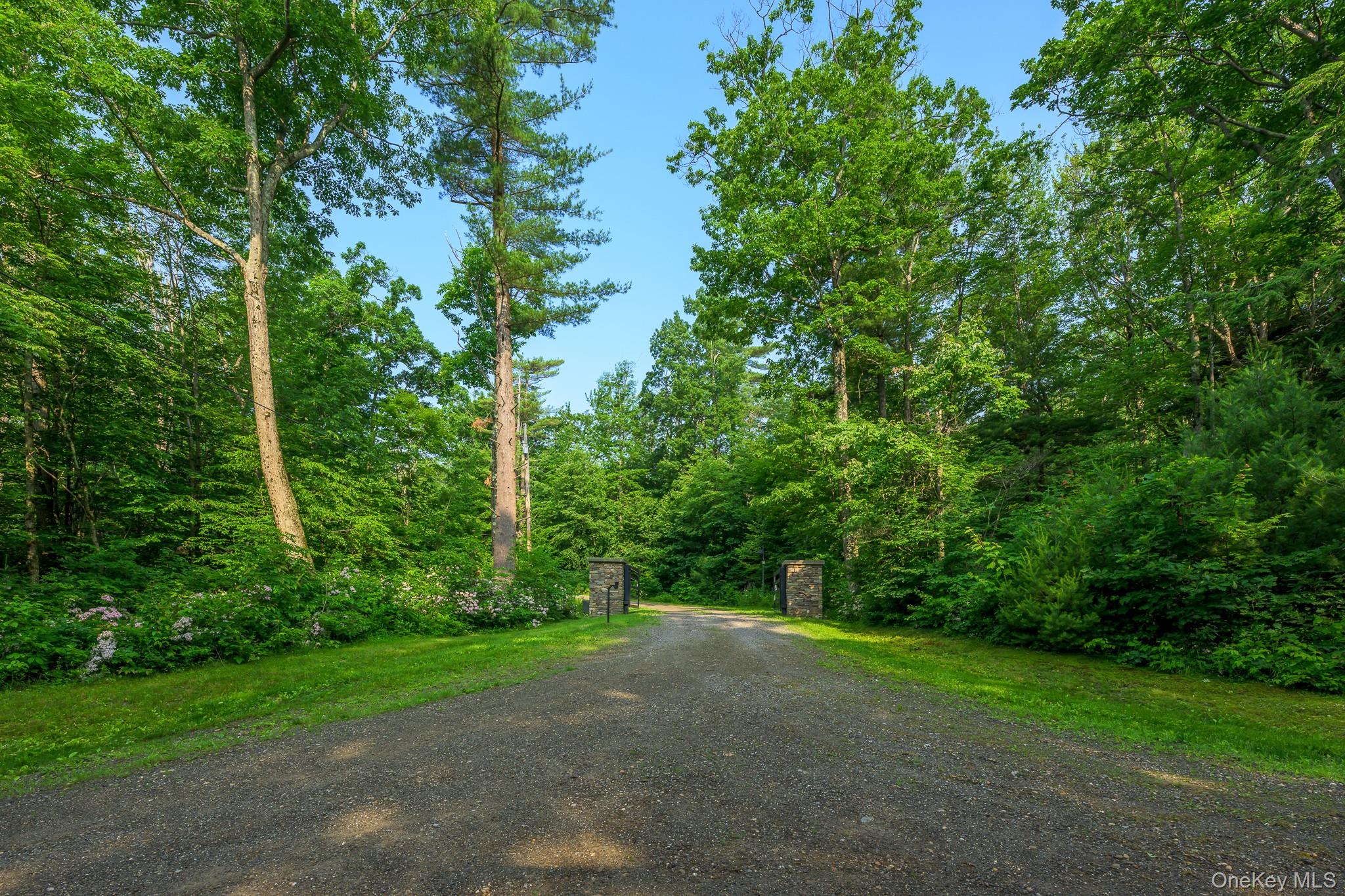 890 Bald Mountain Road Austerlitz, NY 12017 - Photo 15 of 28 View of dirt / gravel road featuring a wooded view