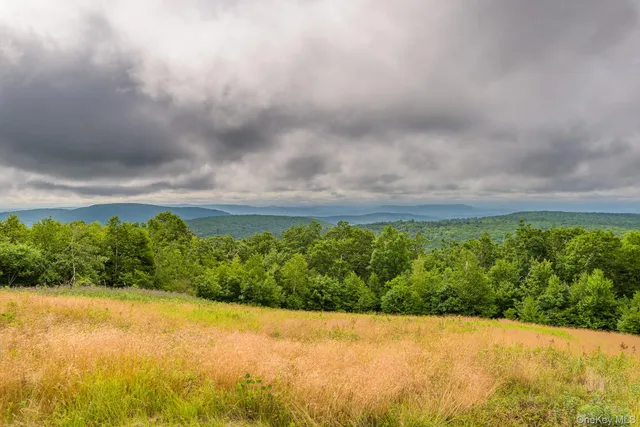 a view of a yard with an outdoor space