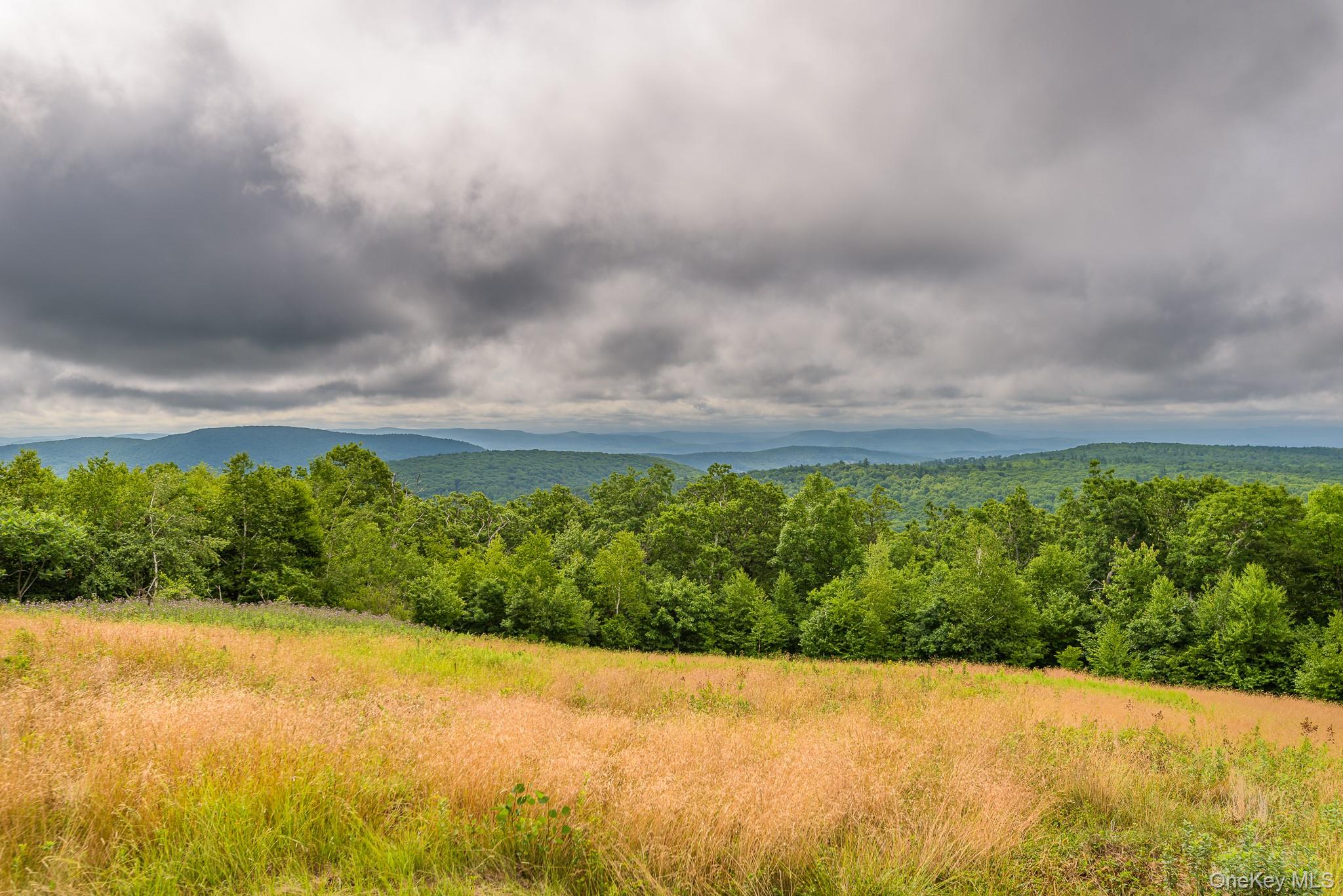 890 Bald Mountain Road Austerlitz, NY 12017 - Photo 2 of 28 View of mountain background with a forest