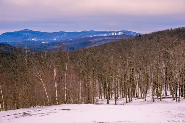 a view of a road with a snow in the background
