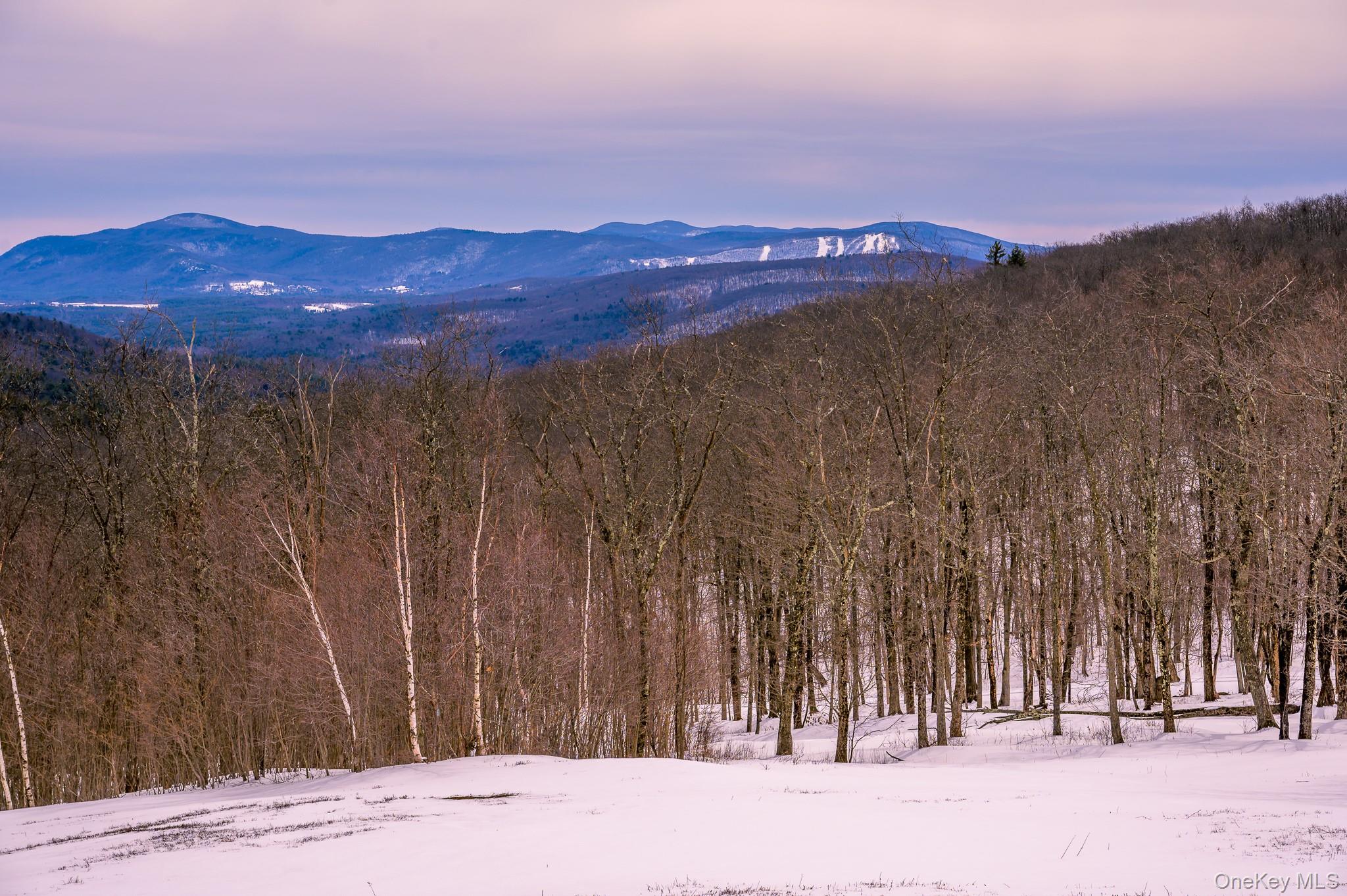 890 Bald Mountain Road Austerlitz, NY 12017 - Photo 3 of 28 View of mountain background with a forest