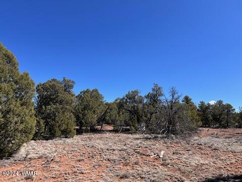 Lot 35 Backward C Road Clay Springs, AZ 85923 - Photo 12 of 22