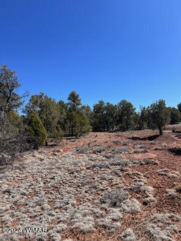 Lot 35 Backward C Road Clay Springs, AZ 85923 - Photo 13 of 22